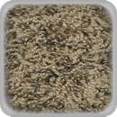 Carpet sample color walnut