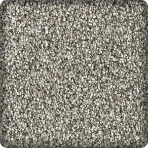 sample of carpet